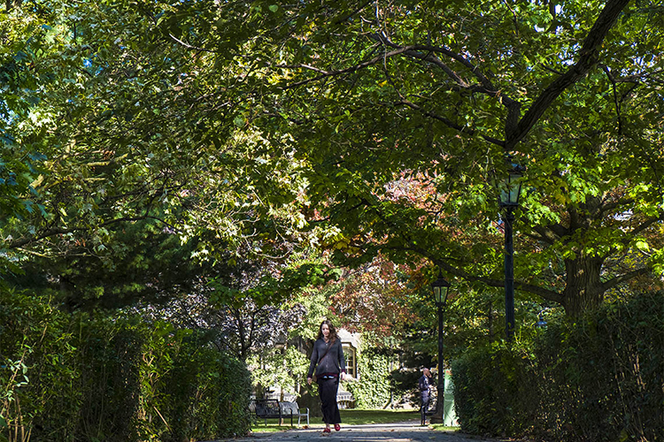 How Grounds Services protects campus trees