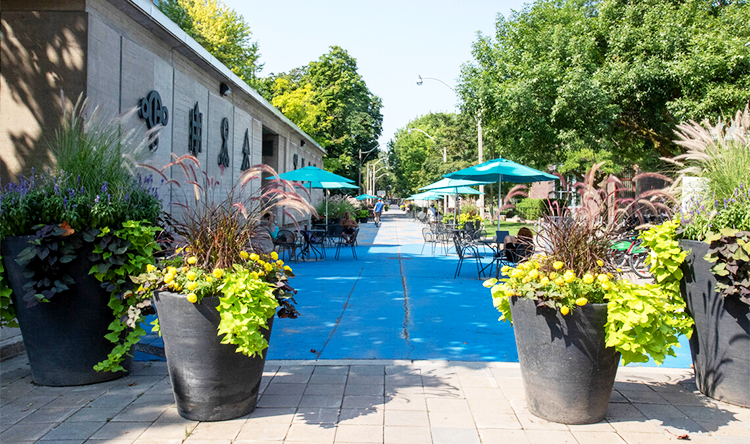 Tables, chairs, and sun umbrellas at Willcocks Commons.