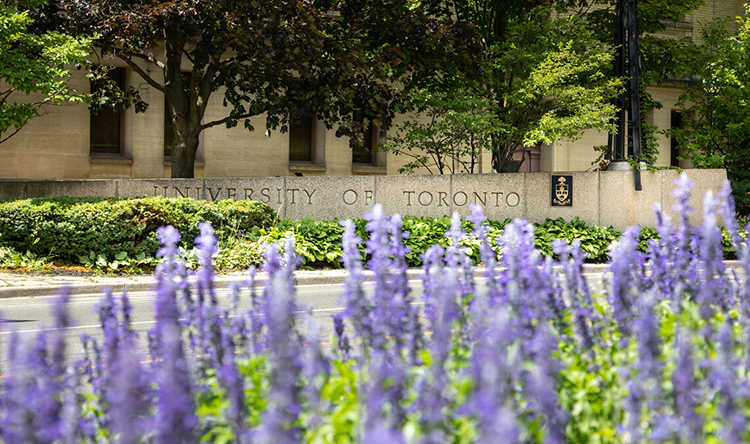 Summer flowers on the St. George campus.