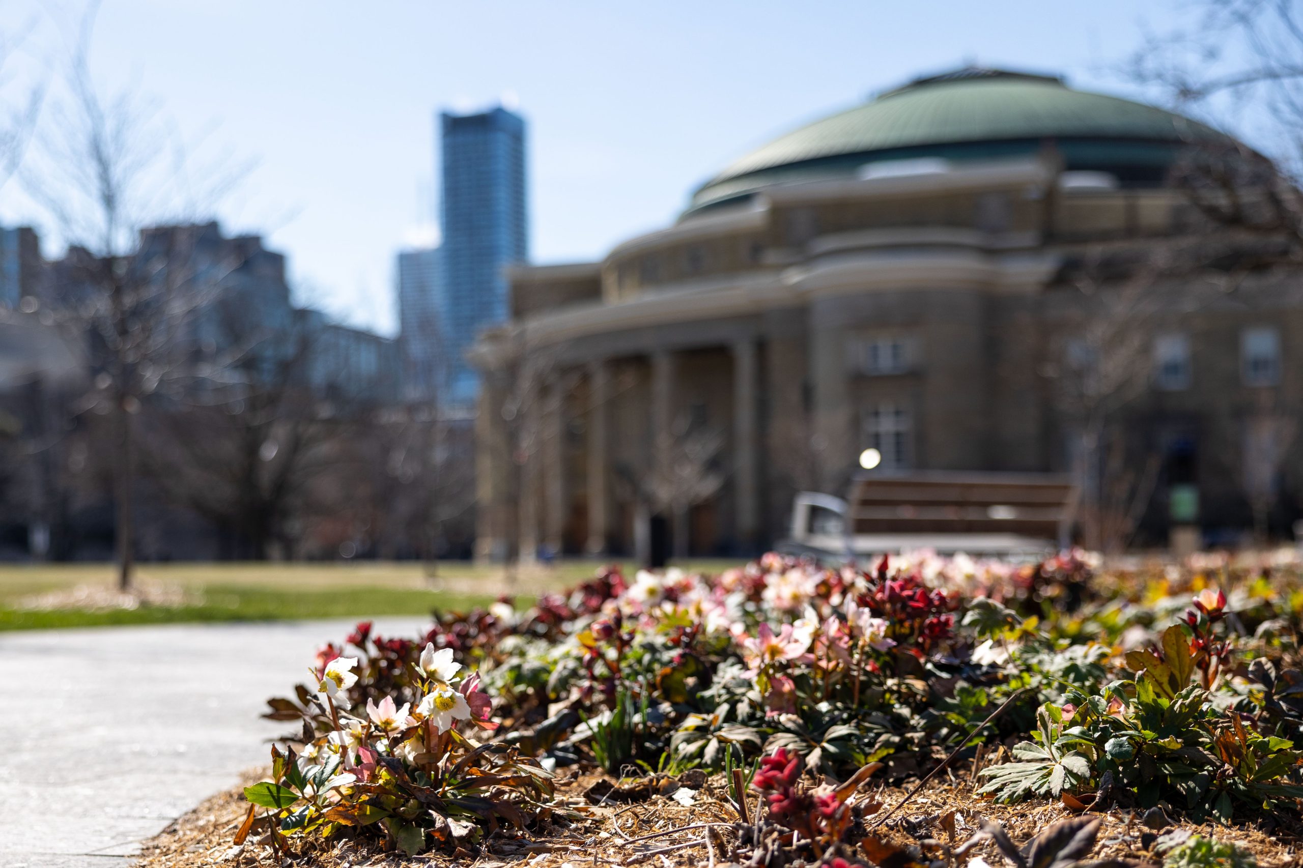 General views of front campus at the University of Toronto, St. George campus